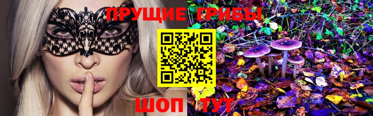 Псилоцибиновые грибы Magic Shrooms  где купить наркотик  Каменск-Уральский  Вход с VPN 
